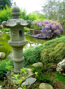 Japanese garden